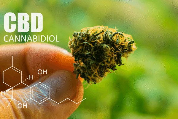 E-liquide au CBD et réglementation