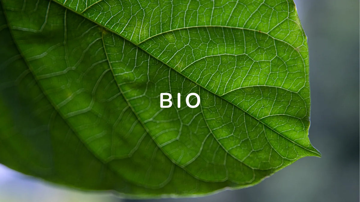 Feuille verte avec la mention « Bio », illustrant un article sur l’e-liquide bio