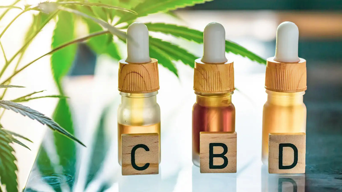 Trois petits flacons avec des lettres en bois "c, b, d" posées devant et une feuille de cannabis en décor