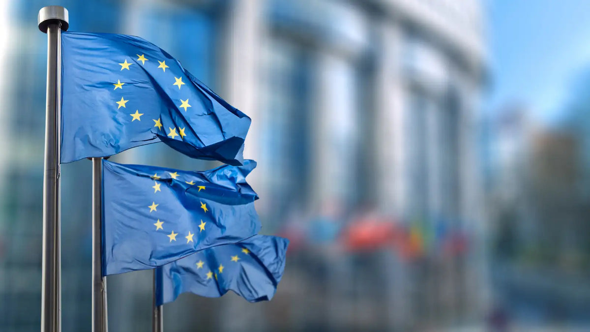 Drapeaux de l'Europe flottants devant un bâtiment public